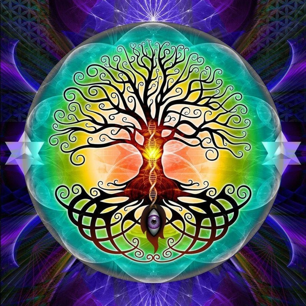 Meet your Posher, Chelsea